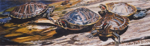4 turtles sliders.png (401643 bytes)