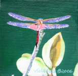 Dragonfly.png (943283 bytes)
