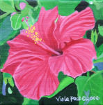 Hibiscus.png (1146693 bytes)