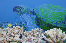 sea turtle on reef_07.png (412624 bytes)